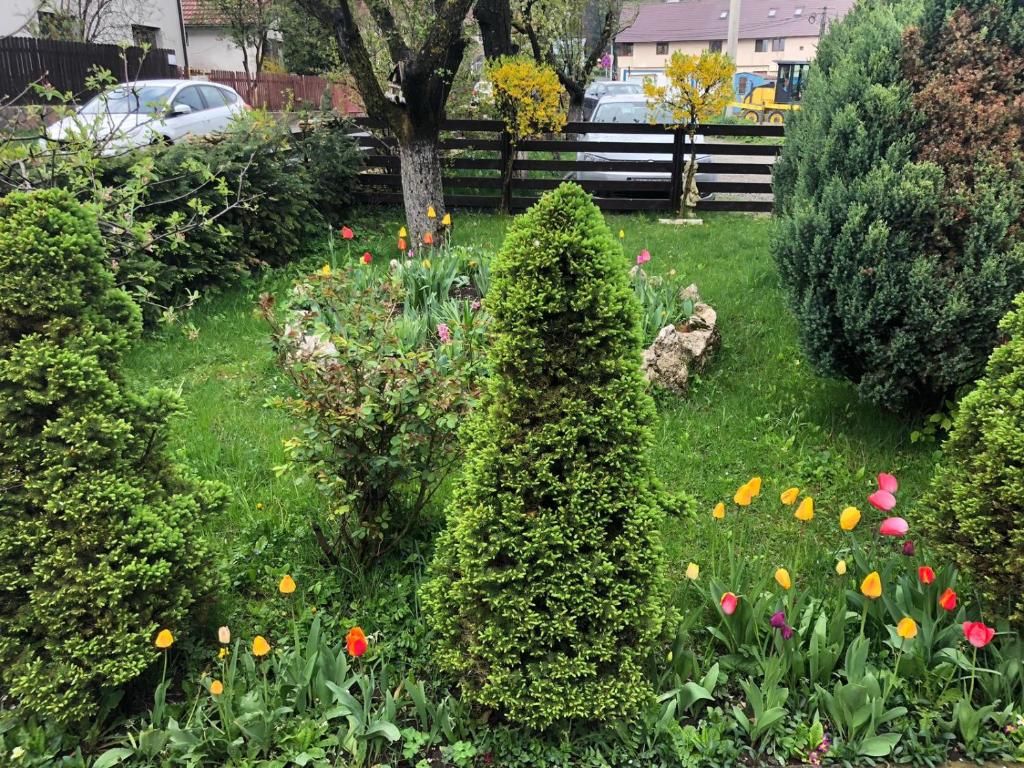 Дома для отпуска Casa Maria Бран-26