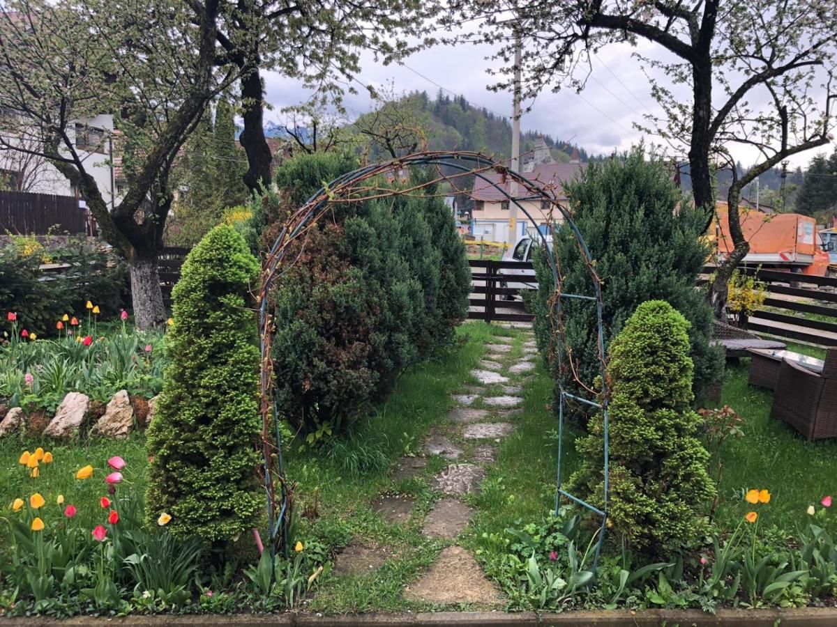 Дома для отпуска Casa Maria Бран-10