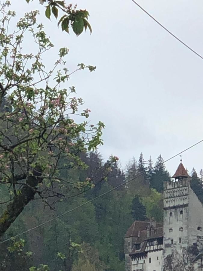 Дома для отпуска Casa Maria Бран-11