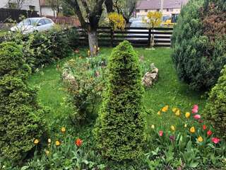 Дома для отпуска Casa Maria Бран Дом с 2 спальнями-23