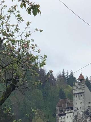 Дома для отпуска Casa Maria Бран Дом с 2 спальнями-8