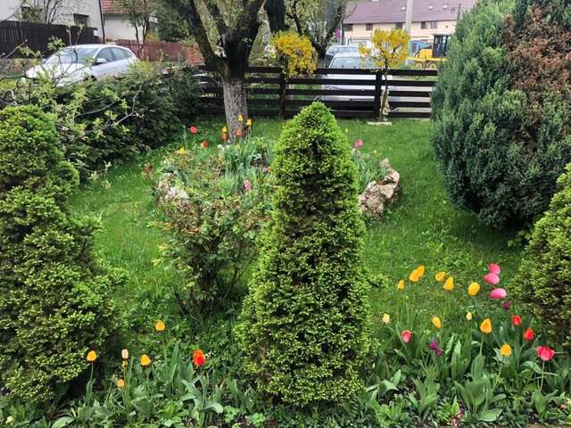 Дома для отпуска Casa Maria Бран-25