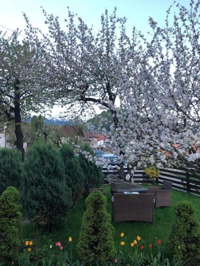 Дома для отпуска Casa Maria Бран-26