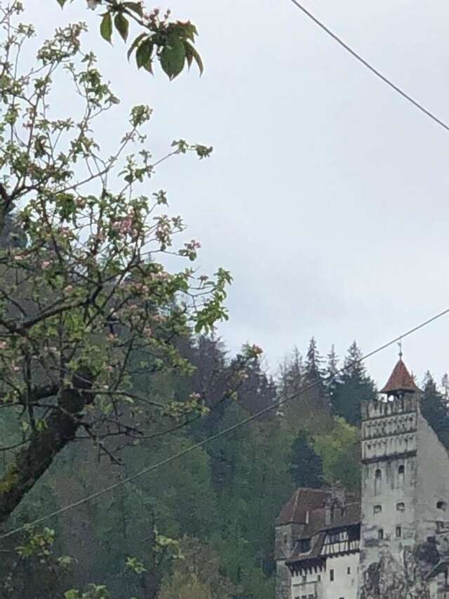 Дома для отпуска Casa Maria Бран-10