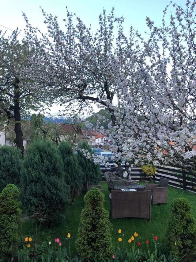 Дома для отпуска Casa Maria Бран-11